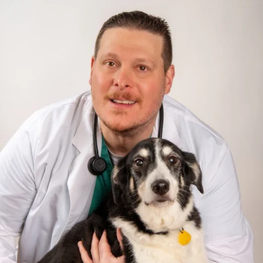 Dr. Andrew Thayer